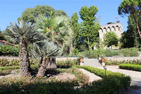 Le Jardin des Plantes de Montpellier: Un Oasis Botanique en Cœur de Ville !