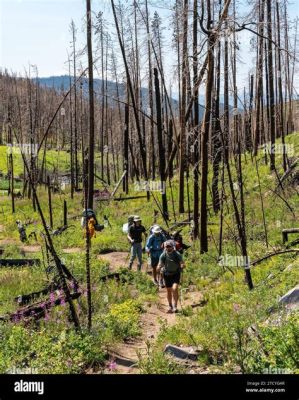 Le Mont Funiu : Un paradis naturel pour les randonneurs aventureux !